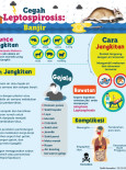 Cegah Leptospirosis : Banjir